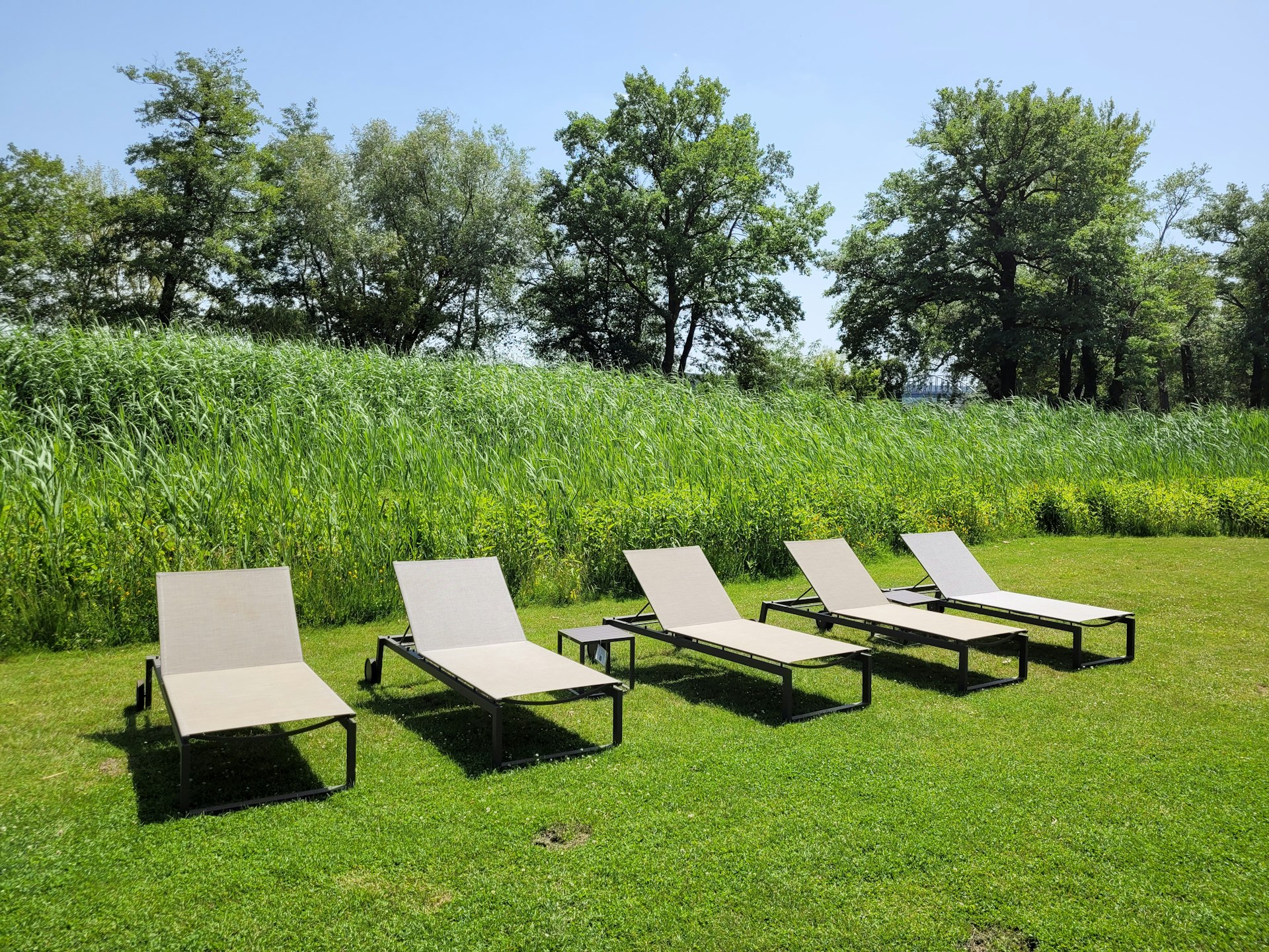 China aluminium outdoor furniture and sun lounge chairs